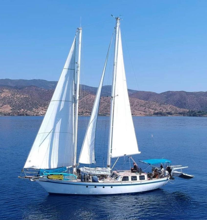 מלון סנט אדריה דה בסוס Fantastico Velero En Barcelona מראה חיצוני תמונה
